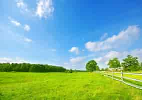 Free photo meadow with trees and a wooden fence