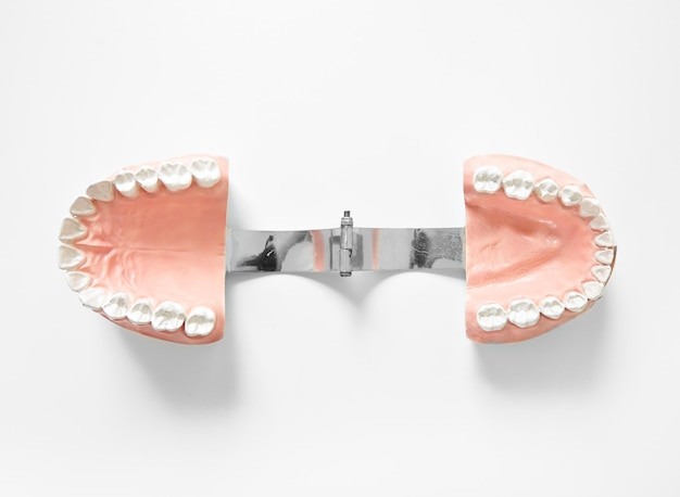 Free photo medical denture smile jaws teeth on white background