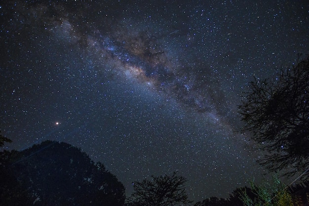 Free photo mesmerizing view of the night sky full of stars in masai mara safari, kenya