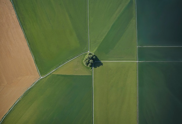 Free photo minimalist landscape from above