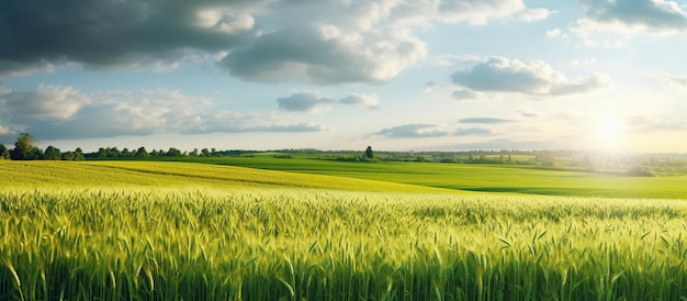 Natural landscape with green grass field of Golden ripe wheat AI generated image