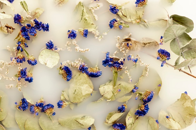 Free photo pale leaves and dark blue flowers in white water