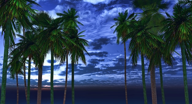 Free photo palm trees in the night