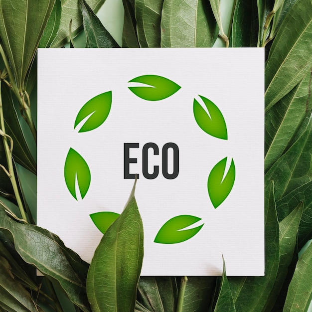 Free photo paper with eco message