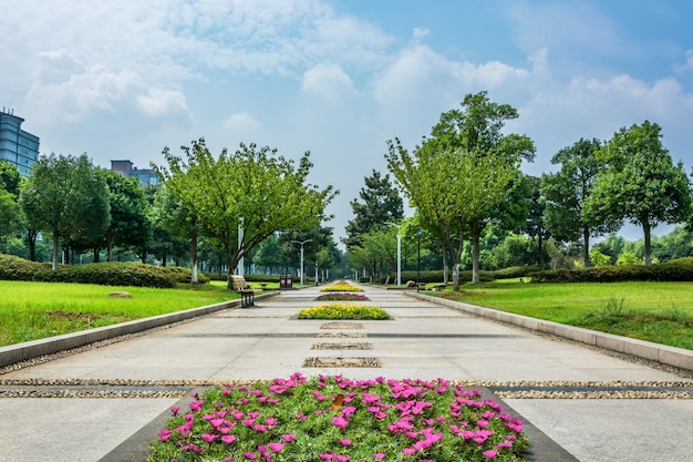 Free photo park in china