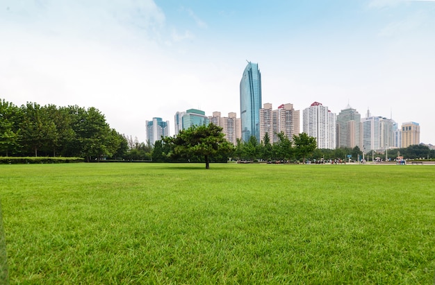 Free photo park with trees and buildings in the background