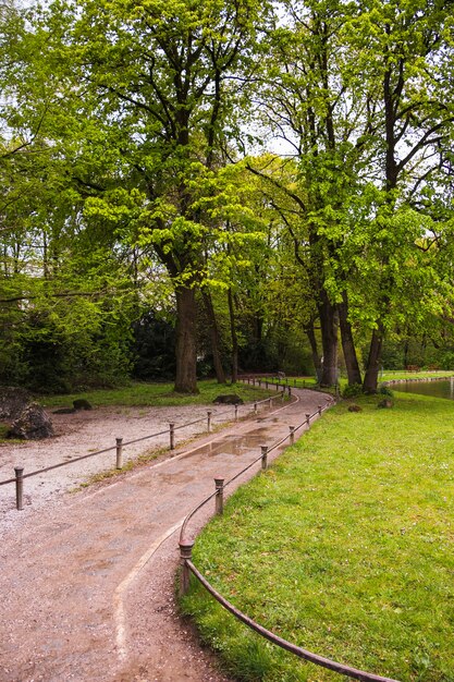 Path through park with green trees