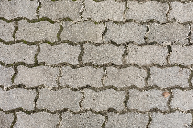 Pavement with moss and dirt