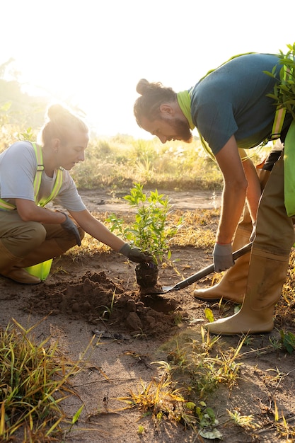 Free photo people planting tree on the countryside