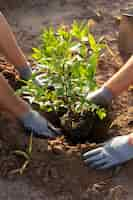 Free photo people planting tree on the countryside