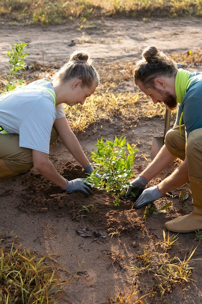 Free photo people planting tree on the countryside