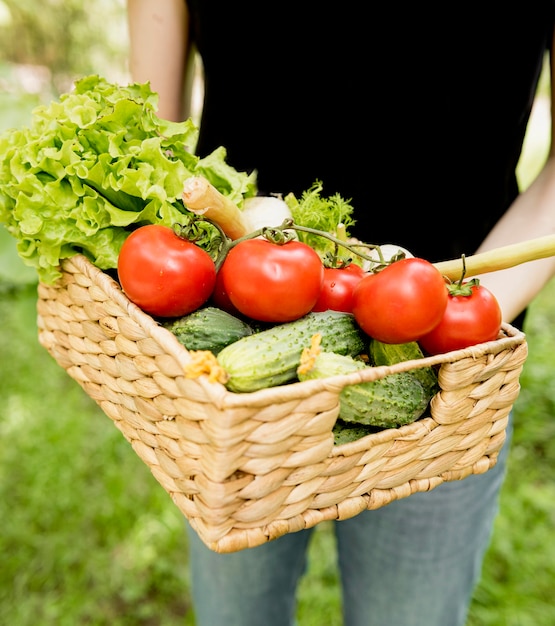 Person holding bucket with tomatoes and cucumbers