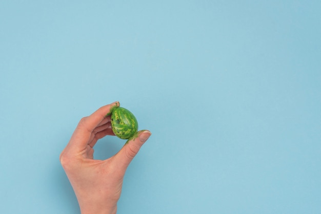 Person holding green Easter egg in hand