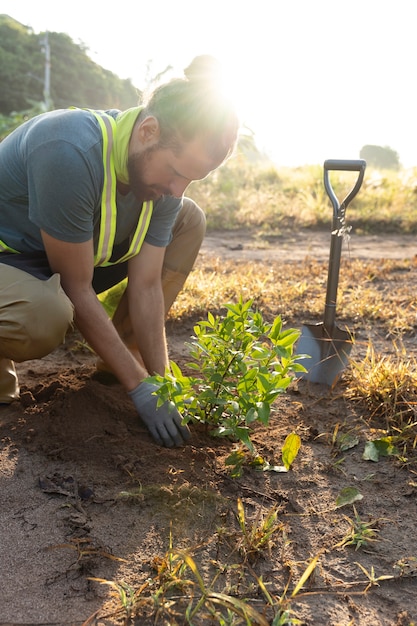 Free photo person planting tree on the countryside