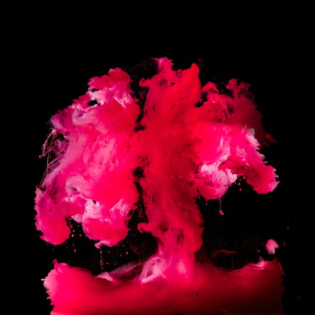 Pink cloud of ink on black