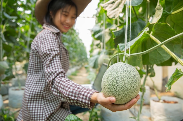 Free Photo plant researchers are checking the effects of cantaloupe. 