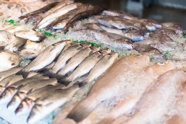 Foto gratuita pesce crudo nel mercato