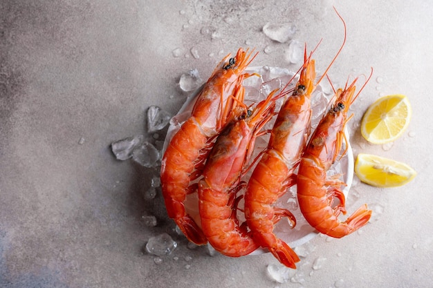 Free photo raw shrimps on ice cubes