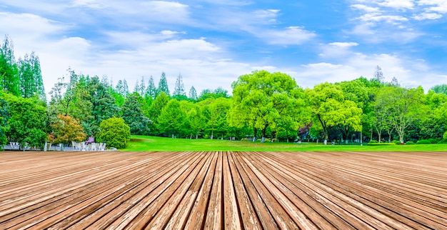 Free photo reflection wood sun lawn natural products countryside