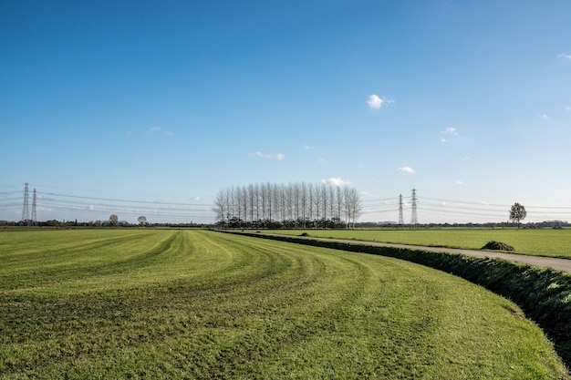 Free photo road in the middle of a grassy field with leafless trees in the distance under a blue sky