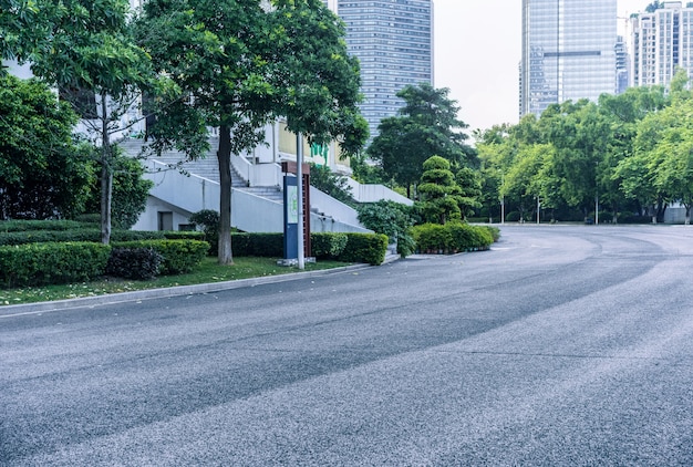 Road with trees