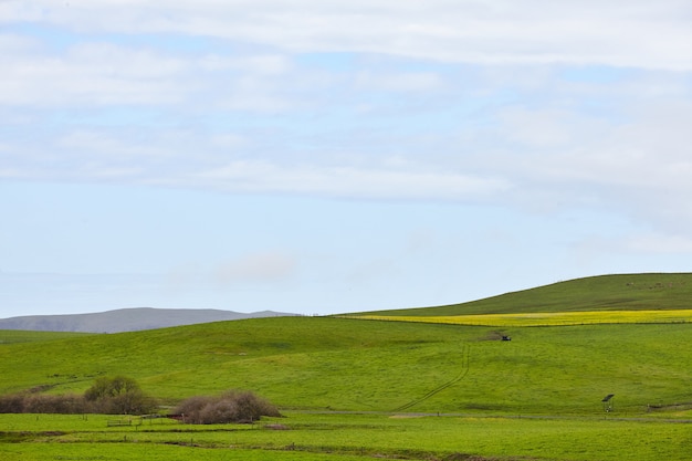 Free Photo rolling green hills of northern california