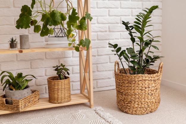 Free Photo room interior design with shelves and plants