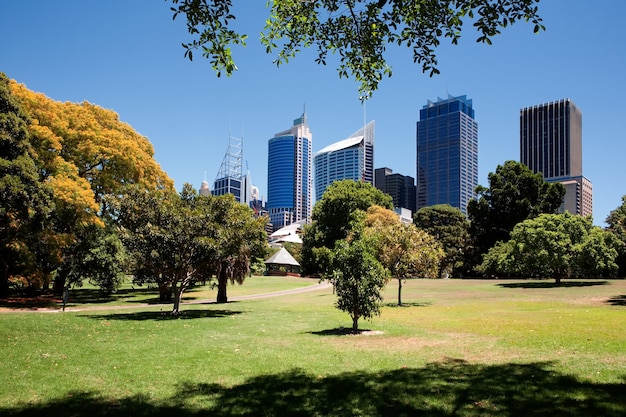 Free photo royal botanic gardens of sydney, australia