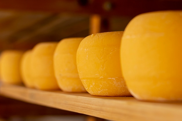 Rustic cheese wheels on a shelf