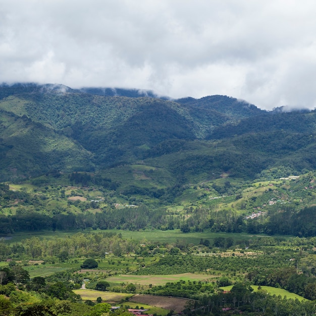 Foto gratuita vista scenica della collina e della montagna in costa rica