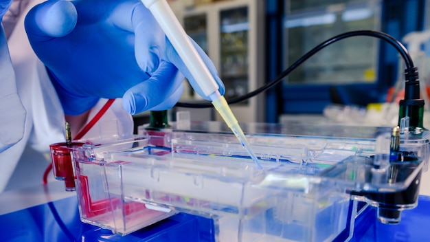 Free photo scientist conducting the gel electrophoresis biological process as part of coronavirus research