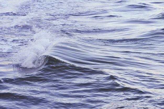 Free Photo shot of a beautiful wave in the sea