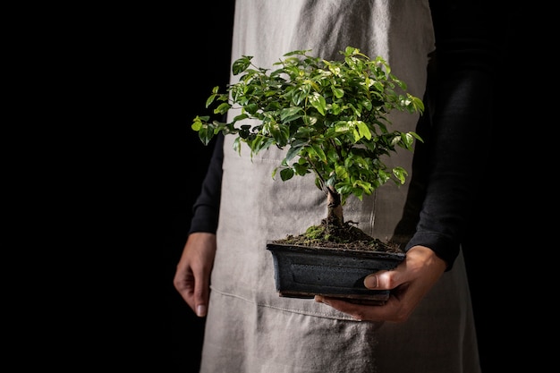 Free photo side view gardener holding potted plant