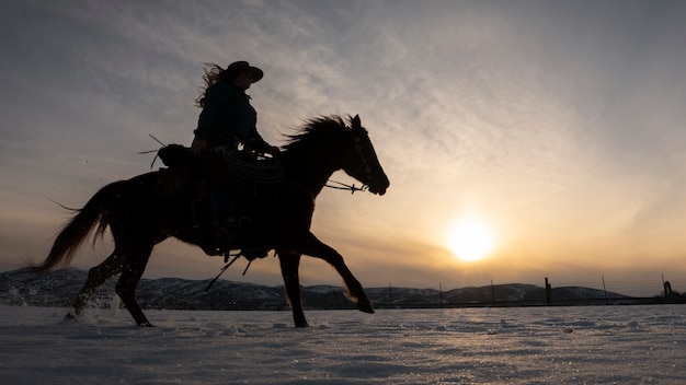 Free photo silhouette of cowgirl on a horse