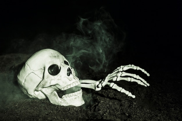 Free photo skeleton's hand sticking out of skull on ground