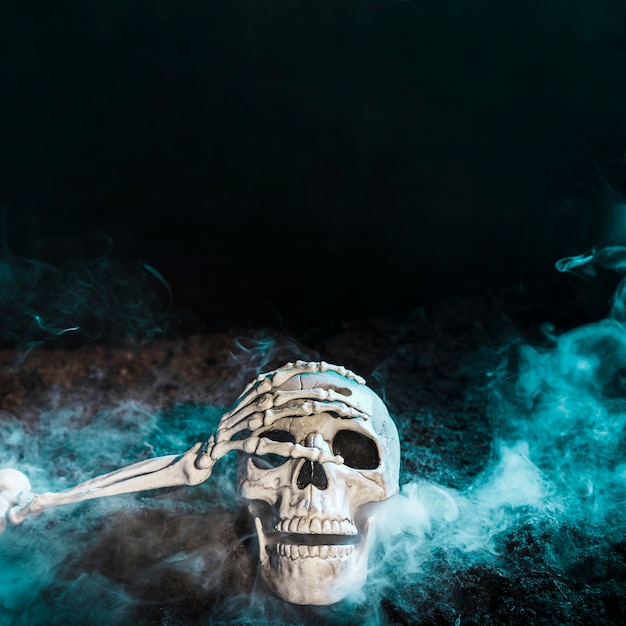 Free Photo skeleton's hand touching skull in blue fog on ground