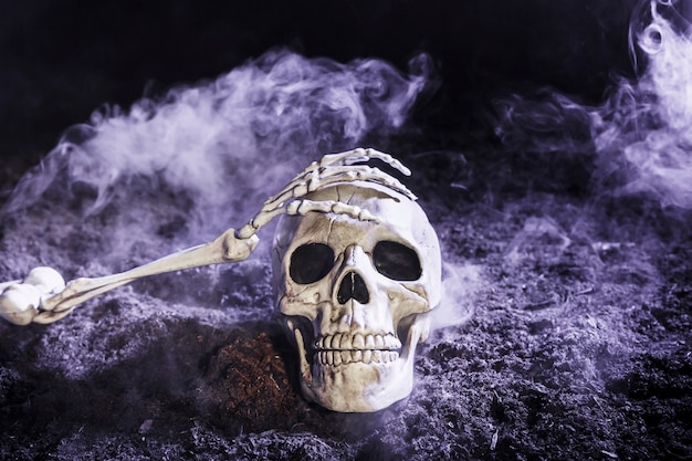 Free Photo skeleton's hand touching skull in fog on ground