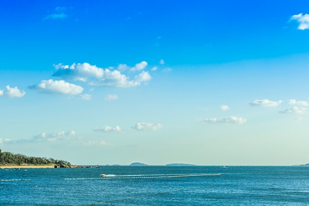 Free photo skyline panorama grand trees the sea sun