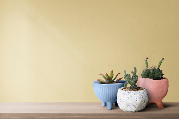 Free photo small cacti with a yellow wall background