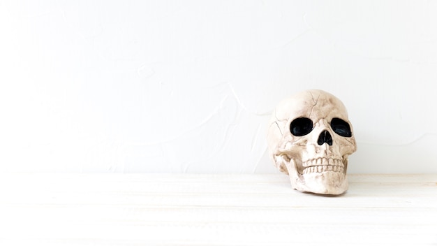 Free Photo spooky skull for halloween