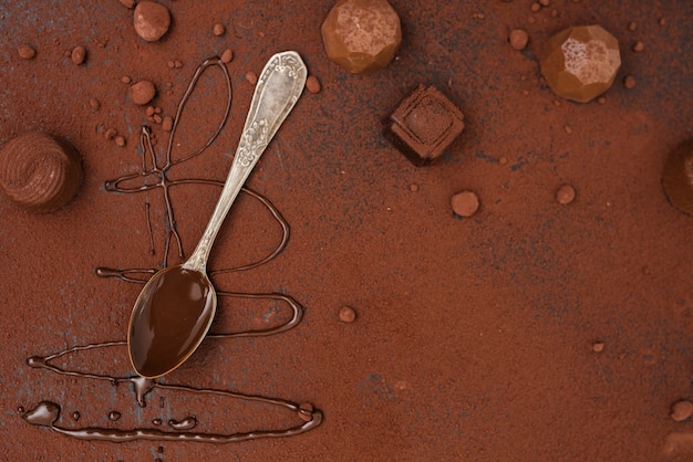 Free photo spoon with chocolate syrup truffles and cocoa powder