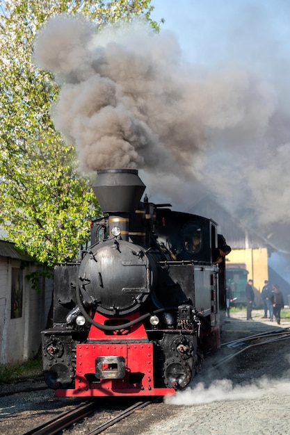 Free photo steam train mocanita on a railway station romania