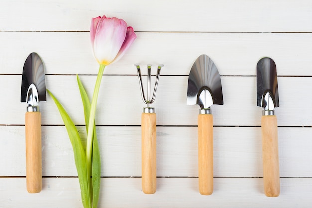 Free photo still life with gardening objects