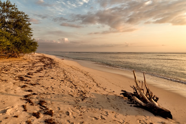 Free photo sunset at indonesian beach