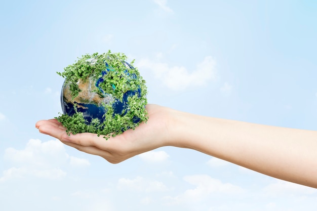 Free Photo sustainable living environmentalist hand holding green earth