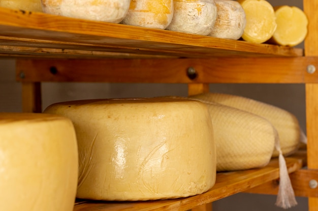 Free photo tasty matured cheese wheels