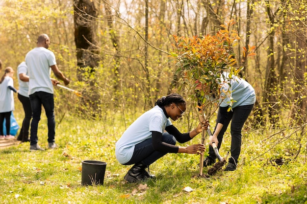 Free photo team of two activists doing voluntary work to plant trees in the forest