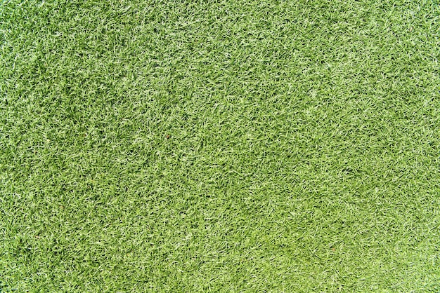 Free photo texture of grass. green background.