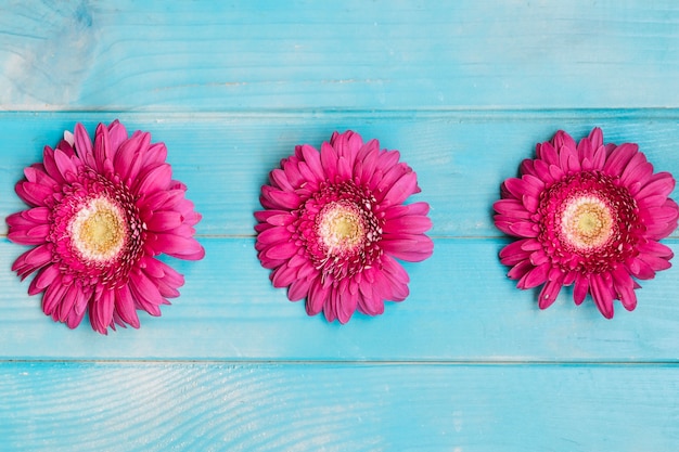 Foto gratuita tre fiori rosa sul tavolo di legno