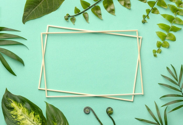 Free Photo top view arrangement of green leaves with empty frames